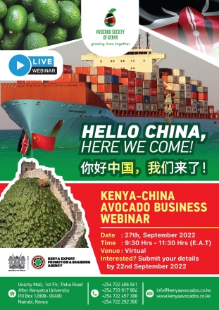 KENYA-CHINA AVOCADO BUSINESS WEBINAR