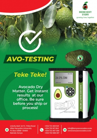 AVOCADO MATURITY TESTING