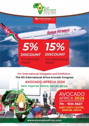 KENYA AIRWAYS OFFER